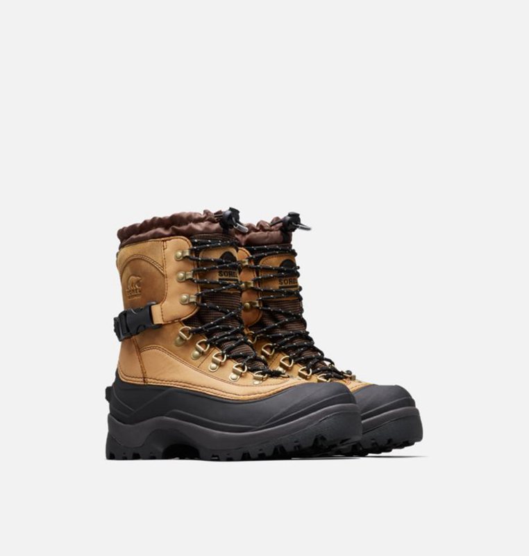 Sorel Herr Vinterkängor Brun/Svarta - Conquest™ - YAS-461790